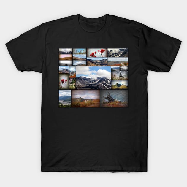 mount saint helens collage T-Shirt by DlmtleArt